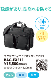 BAG-EXE11