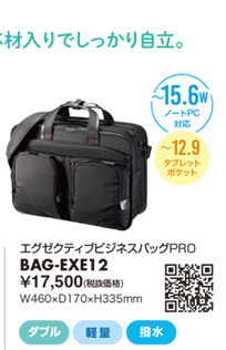 BAG-EXE12