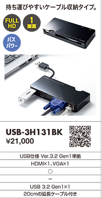 USB-3H131BK