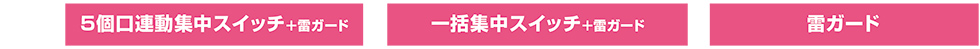 5個口連動集中スイッチ+雷ガード 一括集中スイッチ+雷ガード 雷ガード