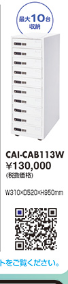 CAI-CAB113W