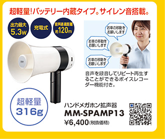 MM-SPAMP13