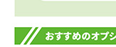 おすすめのオプション
