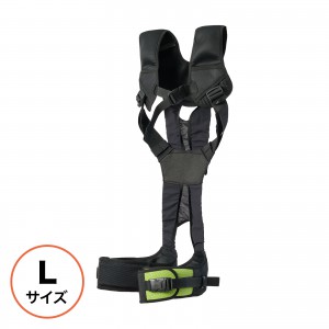 10572の製品画像