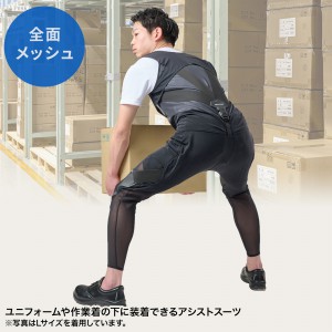 10603の画像