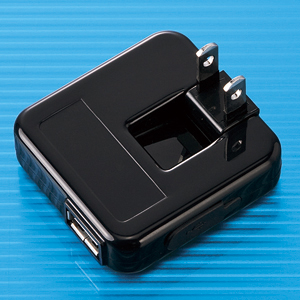 ACA-IP13BK / USB-ACアダプタ(ブラック)