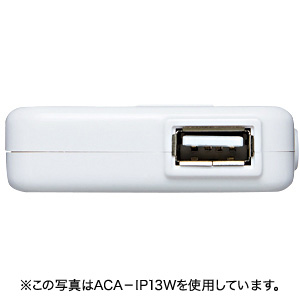 ACA-IP13BK / USB-ACアダプタ(ブラック)