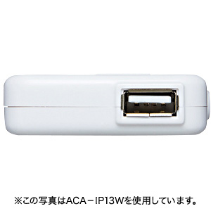 ACA-IP13SV / USB-ACアダプタ(シルバー)