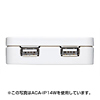 ACA-IP14SV USB充電タップ型ACアダプタ ACA-IP14SV / USB充電タップ型ACアダプタ