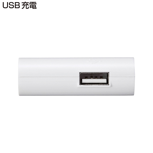 ACA-IP19WW / ウォークマン専用USB-ACアダプタ（ホワイト）