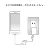 ACA-IP30SW スマートフォン用ACアダプタ(ホワイト) ACA-IP30SW / スマートフォン用ACアダプタ(ホワイト)