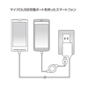 ACA-IP31SBK スマートフォン用ACアダプタ(ブラック) ACA-IP31SBK / スマートフォン用ACアダプタ(ブラック)