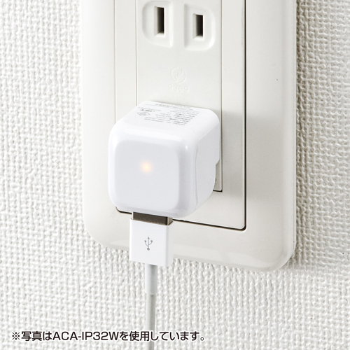 ACA-IP32BKN / 超小型USB充電器（1A・ブラック）
