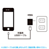 ACA-IP32BK 超小型USB充電器(1A・ブラック) ACA-IP32BK / 超小型USB充電器(1A・ブラック)