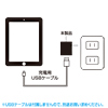 ACA-IP33BKN 超小型USB充電器(2.1A・ブラック) ACA-IP33BKN / 超小型USB充電器(2.1A・ブラック)