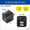 ACA-IP44BK USB充電器(2ポート・合計2.4A・ブラック) ACA-IP44BK / USB充電器(2ポート・合計2.4A・ブラック)