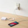 ACA-IP63W USB充電器(2ポート・合計4.8A) ACA-IP63W / USB充電器(2ポート・合計4.8A)