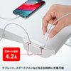 ACA-IP66 USB充電器(2ポート・合計4.2A・デスク設置タイプ) ACA-IP66 / USB充電器(2ポート・合計4.2A・デスク設置タイプ)