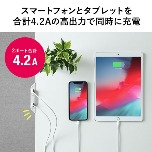 ACA-IP66 / USB充電器（2ポート・合計4.2A・デスク設置タイプ）