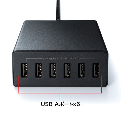 ACA-IP67BK / USB充電器（6ポート・合計12A・ブラック）