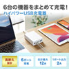 ACA-IP67W USB充電器(6ポート・合計12A・ホワイト) ACA-IP67W / USB充電器(6ポート・合計12A・ホワイト)