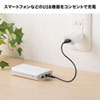ACA-IP86W USB充電器(1A・ホワイト) ACA-IP86W / USB充電器(1A・ホワイト)