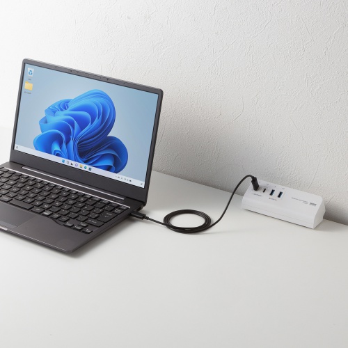 ACA-PD106W / USB PD対応クランプ式AC充電器（PD65W・C×2＋A×2・ホワイト）