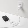 ACA-PD113W USB PD対応キューブ型AC充電器(PD20W) ACA-PD113W / USB PD対応キューブ型AC充電器(PD20W)