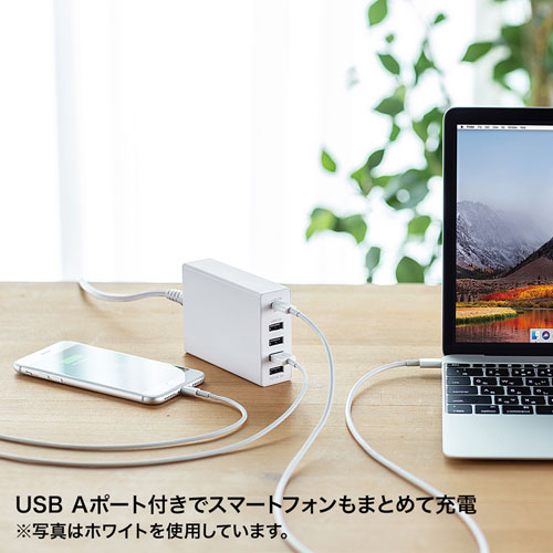 ACA-PD57BK / USB Power Delivery対応AC充電器（5ポート・合計60W・ブラック）