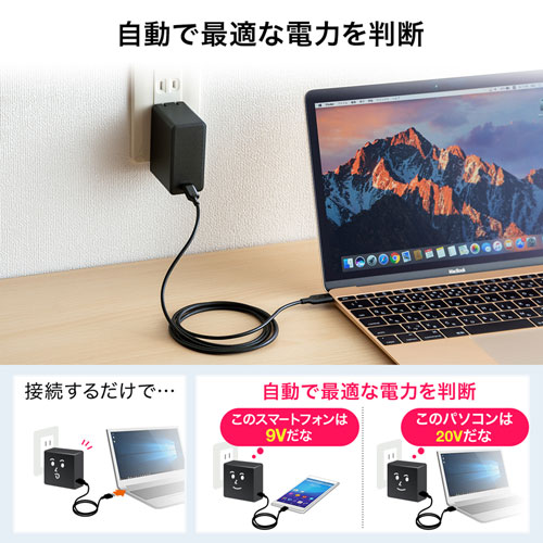 ACA-PD58BK / USB Power Delivery対応AC充電器（45W）