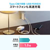 ACA-PD62W / USB Power Delivery対応AC充電器（2ポート・合計30W）