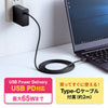 ACA-PD91BK / USB PD対応AC充電器（PD65W・Type-Cケーブル付き）