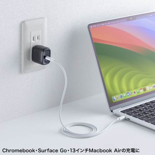 ACA-PD99BK / USB PD対応AC充電器（PD30W）