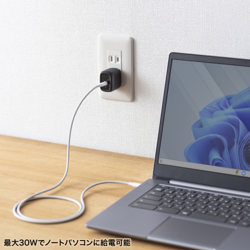 ACA-PD99BK / USB PD対応AC充電器（PD30W）