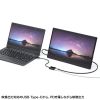 AD-ALCCPD02 / USB Type-C 拡張アダプタ（ケーブルタイプ・PD対応）