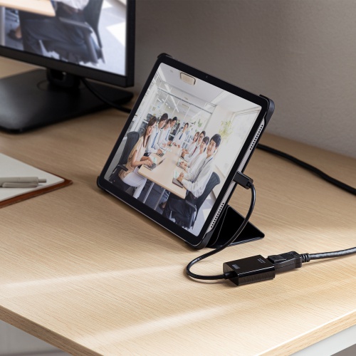 AD-ALCDP02 / USB Type C-DisplayPort変換アダプタ（4K/120Hz/HDR対応）