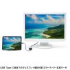 AD-ALCDV / USB Type C-DVI変換アダプタ