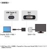 AD-ALCDV / USB Type C-DVI変換アダプタ