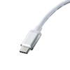 AD-ALCMHDP01 / USB Type C-HDMIマルチ変換アダプタプラス