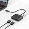 AD-ALCMST2HDPD / USB Type-CーHDMI変換アダプタ（2ポート/4K/PD対応）