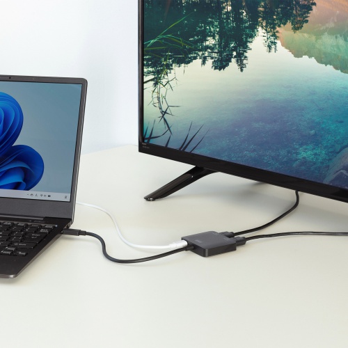 AD-ALCMST2HDPD / USB Type-CーHDMI変換アダプタ（2ポート/4K/PD対応）