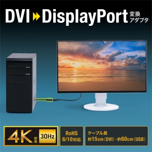 AD-DVDP01