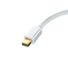 AD-MDPDVA01 ミニDisplayPort-DVI変換アダプタ AD-MDPDVA01 / ミニDisplayPort-DVI変換アダプタ