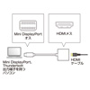 AD-MDPPHD01 ミニDisplayPort-HDMI変換アダプタ AD-MDPPHD01 / ミニDisplayPort-HDMI変換アダプタ