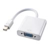 AD-MDPV01 Mini DisplayPort-VGA変換アダプタ AD-MDPV01 / Mini DisplayPort-VGA変換アダプタ