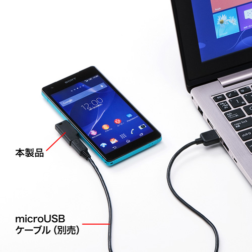 AD-USB22XP / Xperia（TM）用充電変換アダプタ（microUSB-充電端子・ブラック）