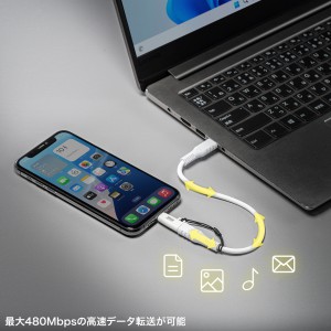 AD-USB30LCFW