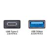 AD-USB31CAF / USB5Gbps Type-C変換アダプタ（AtoC・アルミコネクタ）