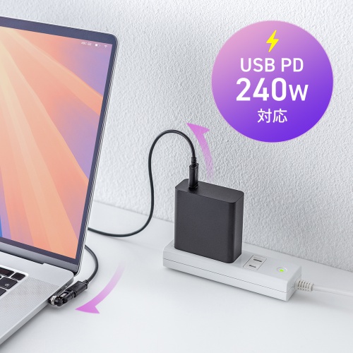 AD-USB34CCFBK / USB2.0 Type-Cアダプタ（540度回転・240W・ブラック）