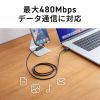 AD-USB34CCFBK / USB2.0 Type-Cアダプタ（540度回転・240W・ブラック）